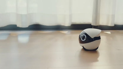Enabot ROLA Mini 2K Camera Robot 2-Way Talk Night Vision Motion Detection video Recording