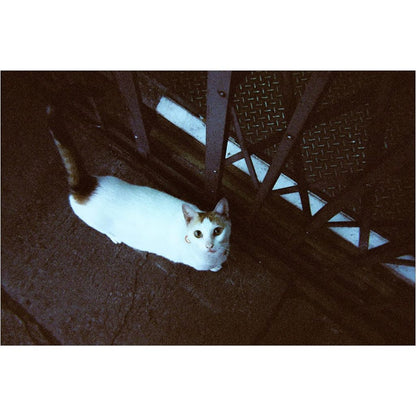 Retocolor Amber Tungsten 35mm Disposable Film Camera 27 Exposures
