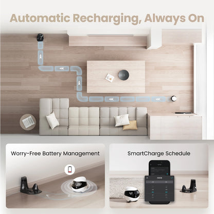 EBO Air 2 Companion Robot + 32gb Micro SD