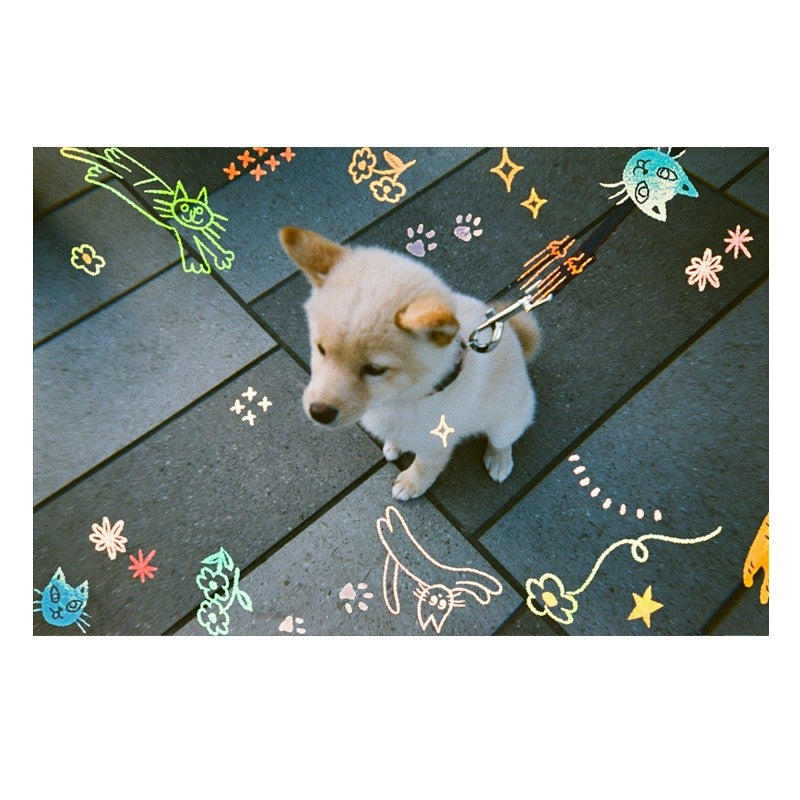 RETOCOLOR CAT'CHA 400 35mm Disposable Film