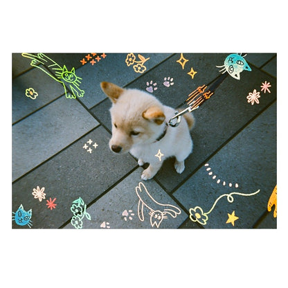 RETOCOLOR CAT'CHA 400 35mm Disposable Film